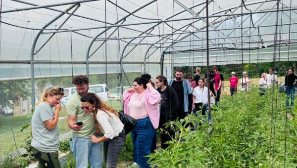Road Trip de l&rsquo;Environnement  : les jeunes au cœur de la transition écologique